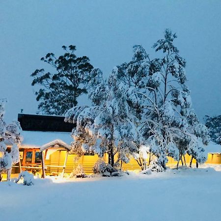 Cradle Mountain Wilderness Village Bagian luar foto