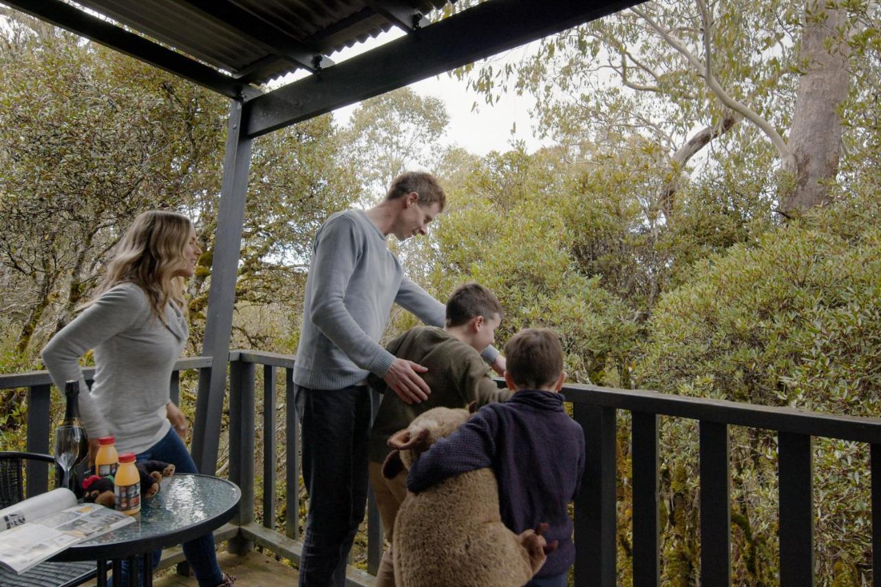 Cradle Mountain Wilderness Village Bagian luar foto